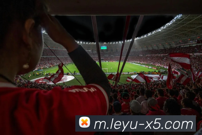 乐鱼体育入口APP 高清赛事图